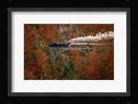 Museum Train Fine Art Print