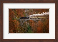 Museum Train Fine Art Print