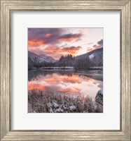 Zelenci Springs Fine Art Print