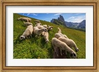 On the Way to Odle mountains Fine Art Print