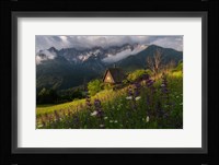 On the Meadows Fine Art Print