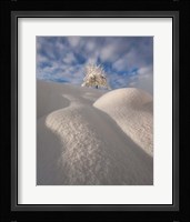 Curves of a Winter Landscape Fine Art Print