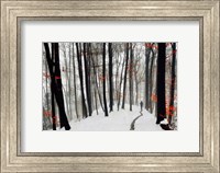 Through Autumn and Winter Fine Art Print