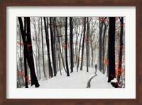 Through Autumn and Winter Fine Art Print