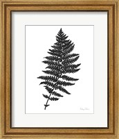 Neutral Fern black II Fine Art Print