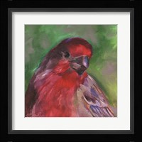 Field Birds VI Fine Art Print