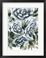 Shadowed Blue Roses I Fine Art Print