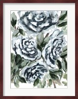Shadowed Blue Roses I Fine Art Print