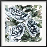 Shadowed Blue Roses II Fine Art Print