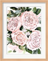 Gentle Roses Pink Fine Art Print