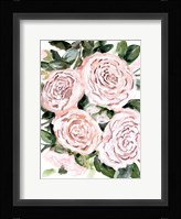 Gentle Roses Pink Fine Art Print