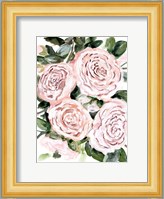 Gentle Roses Pink Fine Art Print