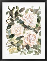 Gentle Roses Yellow I Fine Art Print