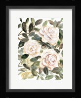 Gentle Roses Yellow I Fine Art Print