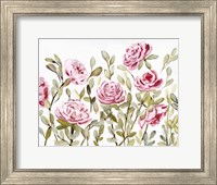 Gentle Rosegarden Pink Fine Art Print