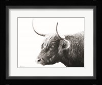 My Highland III Fine Art Print