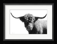 My Highland IV Fine Art Print