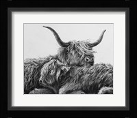 My Highland V Fine Art Print