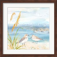 By the Seashore V Fine Art Print