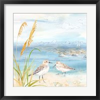 By the Seashore V Fine Art Print
