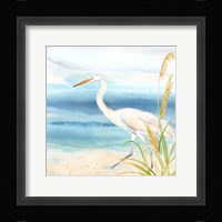 By the Seashore XVI Framed Print