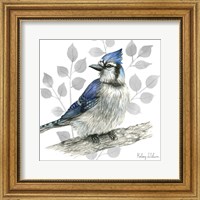 Backyard Birds I-Blue Jay Fine Art Print