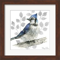 Backyard Birds I-Blue Jay Fine Art Print