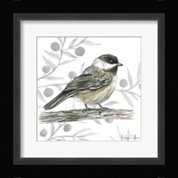 Backyard Birds II-Chickadee Framed Print