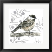 Backyard Birds II-Chickadee Fine Art Print