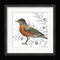Backyard Birds VI-Robin Framed Print