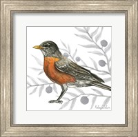 Backyard Birds VI-Robin Fine Art Print