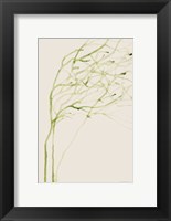 Thistle and Thatch Fine Art Print