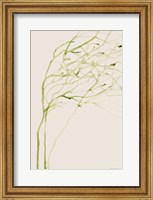 Thistle and Thatch Fine Art Print