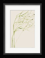 Thistle and Thatch Fine Art Print