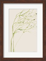 Thistle and Thatch Fine Art Print