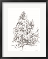 Whispering Pines 1 Fine Art Print