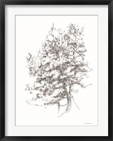 Whispering Pines 2 Fine Art Print