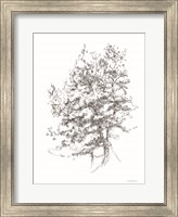 Whispering Pines 2 Fine Art Print