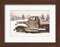 Christmas Tree Delivery Fine Art Print