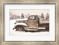 Christmas Tree Delivery Fine Art Print