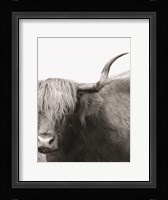 Haircut Needed Fine Art Print