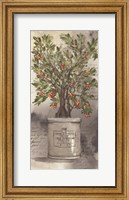 Bittersweet Bush Fine Art Print