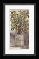 Bittersweet Bush Fine Art Print