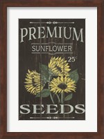 Sunflower Seeds Fine Art Print