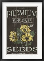 Sunflower Seeds Fine Art Print