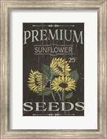 Sunflower Seeds Fine Art Print