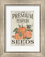 Pumpkin Seeds Fine Art Print