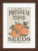 Pumpkin Seeds Fine Art Print