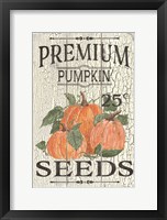 Pumpkin Seeds Framed Print