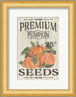 Pumpkin Seeds Fine Art Print